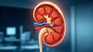 Health Insights: From Kidney Care in Kids to Mental Well-being & Diet