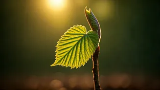 Jon Kabat-Zinn: Cultivating Love for Life Through Mindfulness