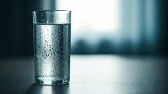 Water Fasting: Rahul Dua & Nidhi Tyagi's Twice-Monthly Challenge and Expert Insights