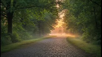 Post-Dinner Walking Is Becoming A Low-Pressure Alternative To Sedentary Evenings