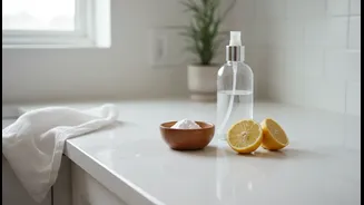 Low-Chemical Monsoon Cleaning Offers Renters and Home Cleaners a New Way to Handle Routine Dirt with Simpler Ingredients