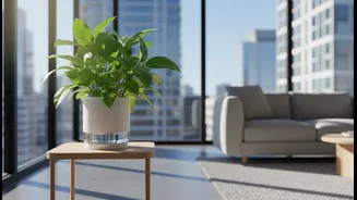 Self-Watering Planters Blend Convenience And Sustainability For Urban Homes