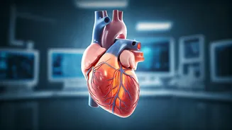 Beyond Blood Pressure: Unveiling Hidden Heart Blockages Through Advanced Screening