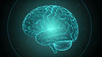 AI in Mental Health: Bridging India's Care Gap with Technological Augmentation