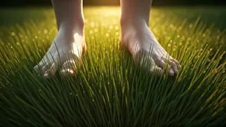 Walk Barefoot On Natural Damp Grass To Correct Posture Instantly