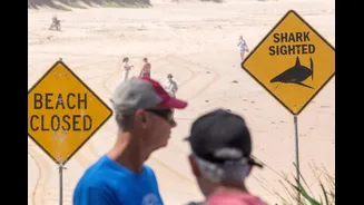 Sydney Sees Three Shark Attacks In Just Over 24 Hours, Two Critically Injured