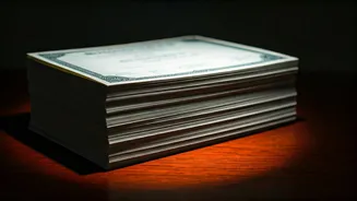 Avana Electrosystems IPO: A Triumphant Subscription