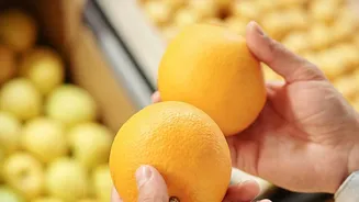 A Food-Safety Audit Should Be Traceable to a Named Body and Date