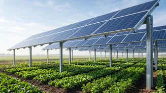 Agrivoltaic Infrastructure: How Raising Solar Panels Allows Farm Machinery To Move Underneath