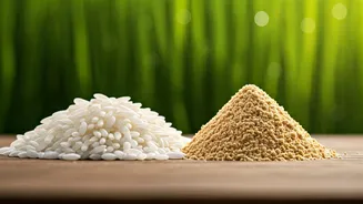 Skincare Lovers Are Rediscovering Rice Bran Benefits