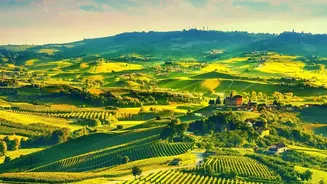 Tuscany Road Trip: Can Combine Art, Hill Towns And Vineyards In One Route As Needs Parking And ZTL Planning Around Major Historic Centres