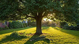 Monsoon Prep Means Prune Now, Relax Later