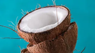 Coconut Shells Need Proper Edges to Avoid Handling Injuries