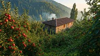 Search Volumes Explode For Remote Himachal Fruit Orchard Farm Stays