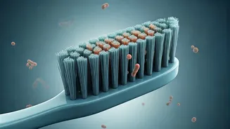Bacteria on Your Brush: A Hidden Health Risk