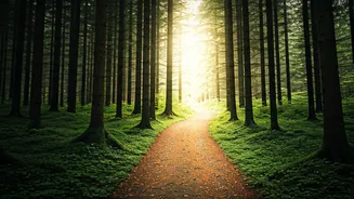 Boost Brain Health: Walking's Surprising Benefits