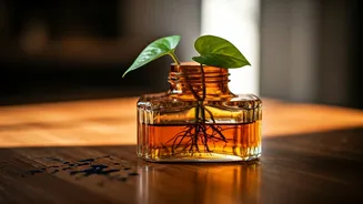 Give Empty Vintage Inkwells Purpose Placing Devils Ivy Clippings