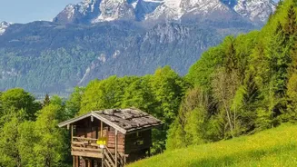 Hiking In Austria Offers These Alpine Flower Meadows You Will Love