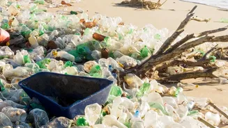 How Local Communities In Meghalaya Partner With Eco-Kayaking Tourists To Remove Plastic Waste From Rivers