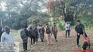 Leopard Spotted Near IG Office In Nashik, Search Operation Launched