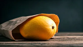 Unlock Summer Sweetness: The Genius of Paper Bags for Perfect Mangoes