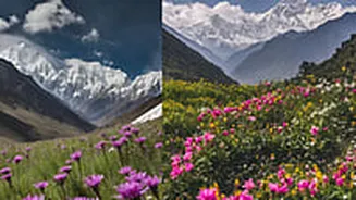 Where Is The Valley Of Flowers? Complete Travel Guide & Significance
