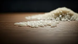 Is Your Rice Genuine? Simple Home Tests for Suspicious Grains and Delicious Recipes