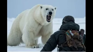 What Makes Polar Bears So Dangerous? Old Video Of Cameraman's Encounter Is Viral