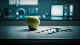 Surgeon's Verdict: Unpacking 6 Popular Weight Loss Trends for Lasting Health