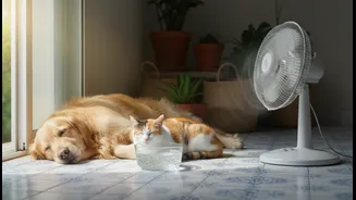Indian Cat, Dog and Small-Animal Owners Can Avoid Mistakes by Creating Cool Zones