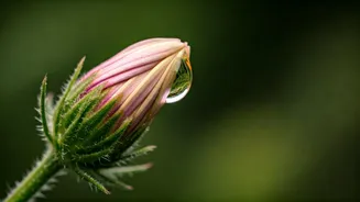 Master the Art of Genuine Compliments: Make Your Words Truly Matter