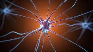 The Mirror Neuron Magic: How Kids Absorb Parental Habits and Develop Their Own