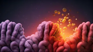Celiac Disease Explained: Understanding Gluten's Impact and Genetic Predisposition