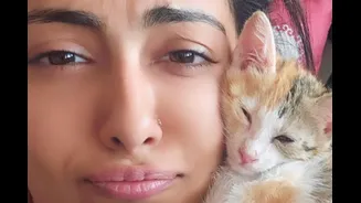 Related Stories banner