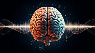 Unlocking Your Brain's Potential: The Science Behind Playing Music