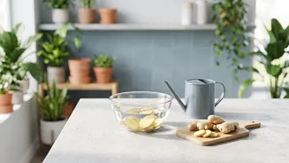 How Some Gardeners Apply Ginger Water To Potting Soil