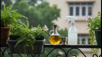 How To Dilute Pure Cold-Pressed Neem Oil For Safe Monsoonal Balcony Pest Management Routes