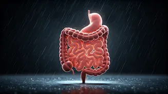 Gut Health Needs Extra Attention In Monsoon