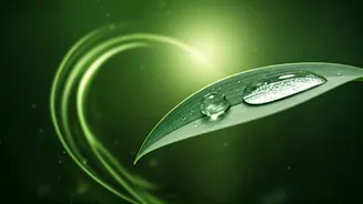 K-Beauty extracts for monsoon glow