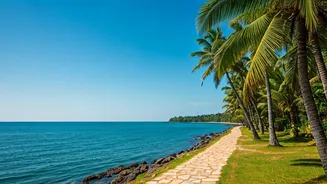 Kerala Coast Looks Dreamy, But Plan Smart