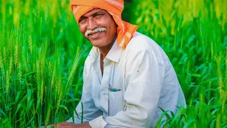 Punjab And Maharashtra Farmers Save Harvests Using Low-Cost AI Smartphone Sensors Today