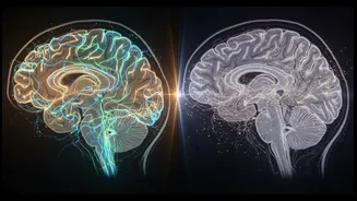 Alzheimer's-Linked Blood Proteins In Midlife Balances Potential Early Clues With Significant Uncertainty