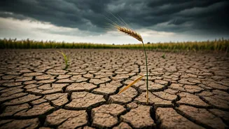 Weak Monsoon Could Push Food Prices Higher Across India
