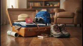 Choose Accommodation After Understanding Equipment, Timing And Transfer Needs