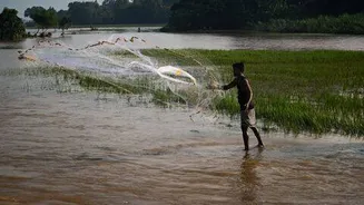 North Coastal Andhra Pradesh farmers lose ₹1,000cr to back-to-back disasters