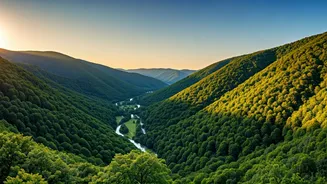 Green Valleys Are Winning Over Beach Plans Now