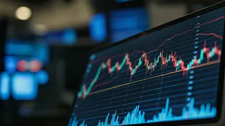 IPO Mania: Decoding Market Trends and Investment Insights