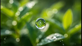 Why Sweating Less During Monsoon Doesn't Always Mean Your Body Needs Less Water