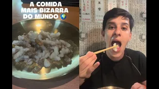 Comeria? Prato com polvo vivo divide opiniões nas redes sociais