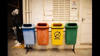 How Ahmedabad's Four-Bin System is Transforming Waste Management